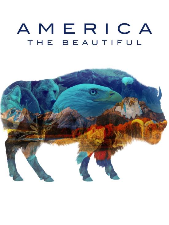 America the Beautiful الموسم 1 الحلقة 3 America the Beautiful الموسم 1 الحلقة 3